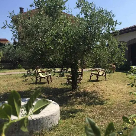Villa Mery, Sui Colli Della Riviera Di Rimini *